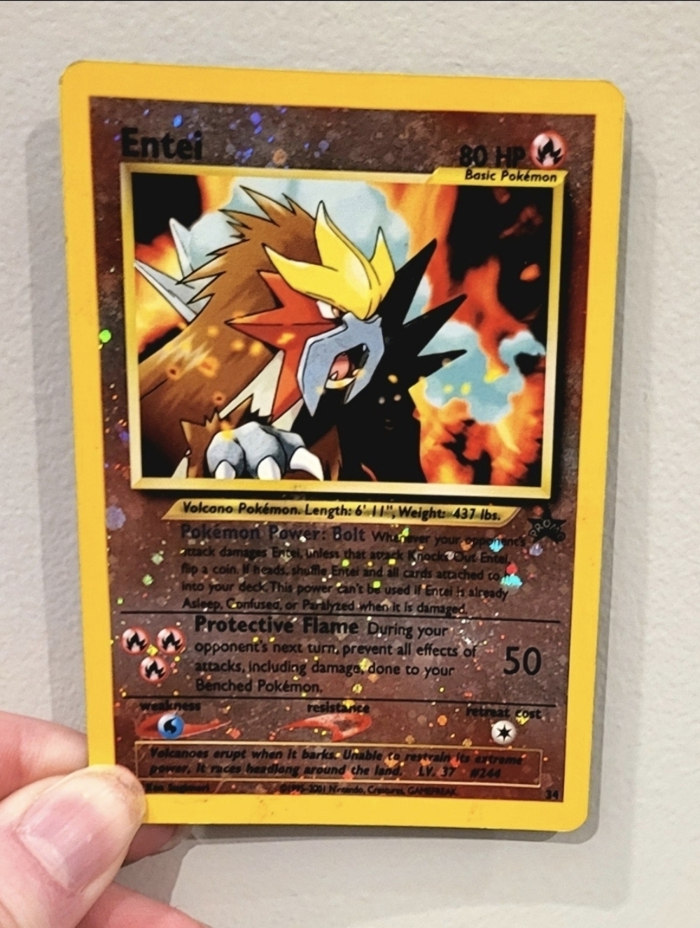 Pokemon Entei Shiny Card